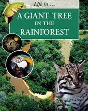 A Giant Tree in the Rainforest (Life in a ...) by Sally Morgan