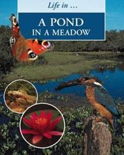 Cover of: Pond in a Meadow (Life in a ...)
