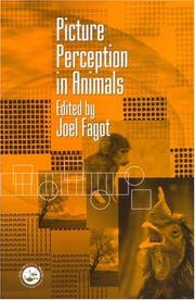 Cover of: Picture perception in animals by Joël Fagot.