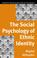 Cover of: The social psychology of ethnic identity
