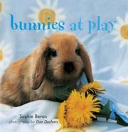 Cover of: Bunnies at Play