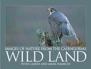 Cover of: Wild land by Peter Cairns