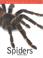 Cover of: Spiders (Nature Fact Files)