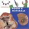 Cover of: Rocks & Minerals (Fantastic Facts)