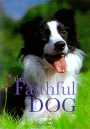 Cover of: The Faithful Dog by Angela Rixon