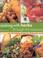 Cover of: Cooking with Herbs Through the Seasons