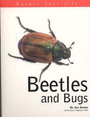 Cover of: Beetles and Bugs by Jen Green