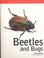 Cover of: Beetles and Bugs