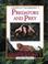 Cover of: Predators and Prey (Secrets of the Rainforest)