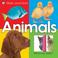 Cover of: Slide and Find Animals (Slide and Find)