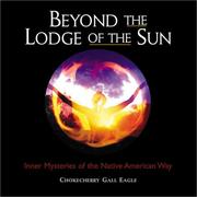 Beyond the lodge of the sun by Chokecherry Gall Eagle.