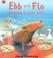 Cover of: Ebb and Flo and the Greedy Gulls