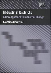 Cover of: Industrial districts: a new approach to industrial change