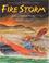 Cover of: Fire storm