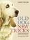 Cover of: Old Dog, New Tricks