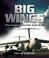 Cover of: BIG WINGS