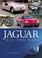 Cover of: Jaguar