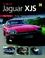 Cover of: You & Your Jaguar XJS