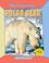Cover of: Polar Bear (Wild Animals)