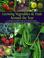 Cover of: Growing Vegetables & Fruit Around the Year