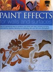 Cover of: Paint Effects for Walls and Surfaces: Over 25 inspirational ways to transform your home with paint, including sponging, colourwashing, stippling, stencilling ... stamping, with over 300 colour photographs
