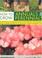 Cover of: How to Grow Annuals & Perennials