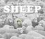 Cover of: Sheep for Beginners