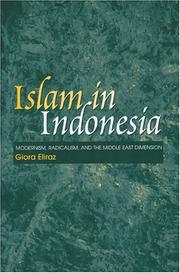 Cover of: Islam In Indonesia by Giora Eliraz