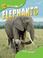 Cover of: Elephants (Animal Lives)