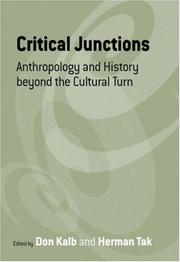 Cover of: Critical Junctions: Anthropology And History Beyond the Cultural Turn