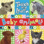 Cover of: Touch and Learn | Make Believe Ideas
