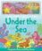 Cover of: Underwater Sea (Magnetic Playscenes)