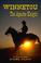 Cover of: Winnetou - The Apache Knight