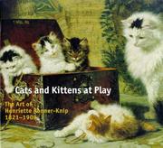 Cats and kittens at play