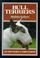 Cover of: Bull Terriers