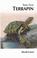 Cover of: Your First Terrapin (Your First...series)