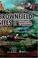 Cover of: Brownfield sites II