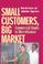 Cover of: Small Customers, Big Market