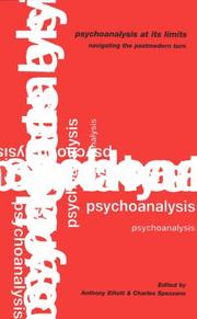 Cover of: Psychoanalysis at its limits: navigating the postmodern turn