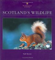 Cover of: Scotland's Wildlife (National Trust for Scotland) by Niall Benvie