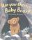Cover of: Are You There, Baby Bear? (Alfie Bear)