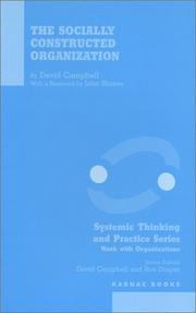 Cover of: Socially Constructed Organization (Systemic Thinking and Practice Series)