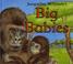 Cover of: Big Babies