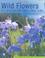 Cover of: Wild Flowers of Britain and Ireland