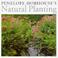 Cover of: Penelope Hobhouse's natural planting