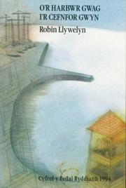 Cover of: O'r harbwr gwag i'r cefnfor gwyn by Robin Llywelyn