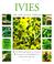 Cover of: Ivies (The New Plant Library) (The New Plant Library)