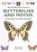 Cover of: The Wildlife Trusts Guide to Butterflies and Moths (Wildlife Trusts Guide Series)