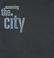 Cover of: Screening the City