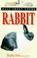 Cover of: All About Your Rabbit